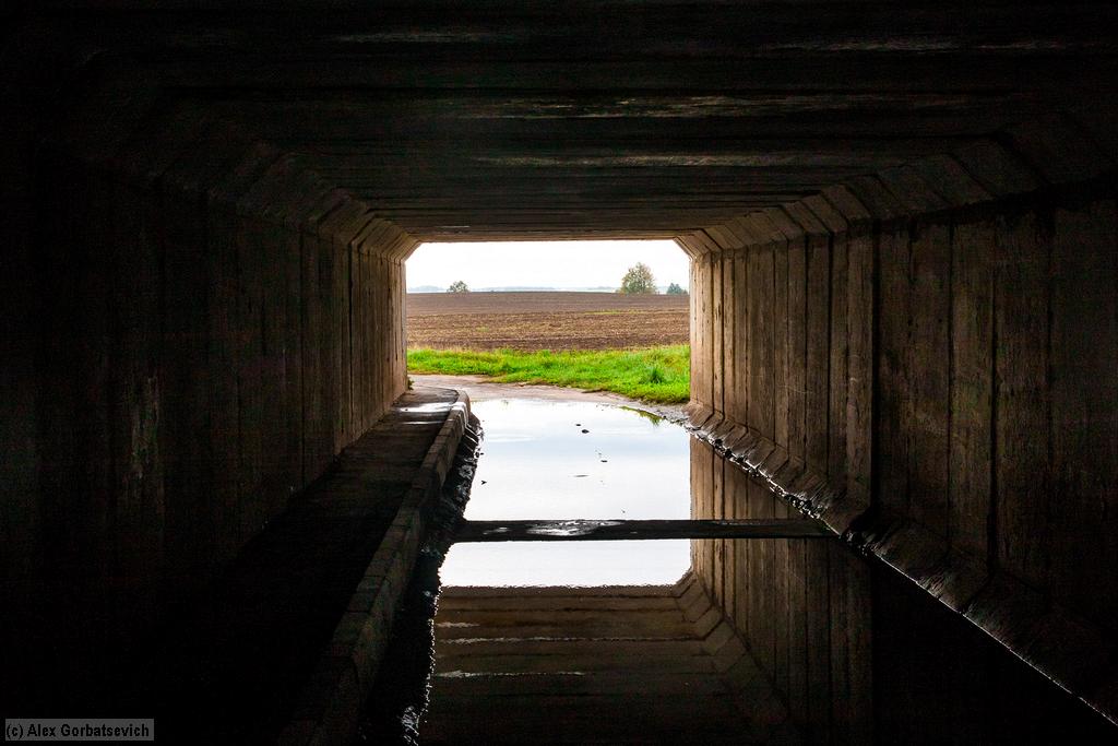 ������ ��� �������