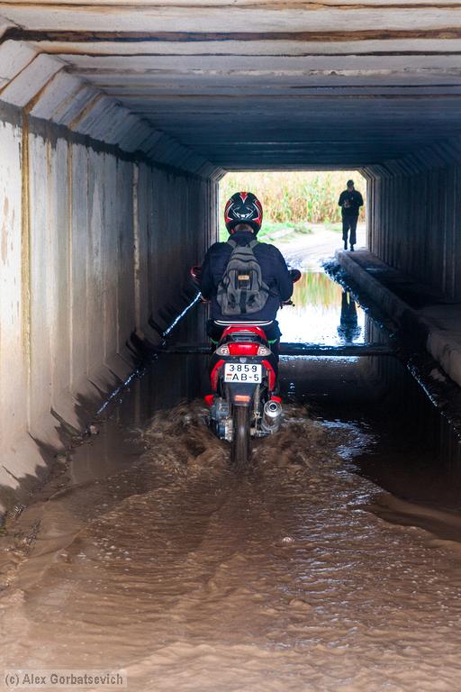 ����� ������