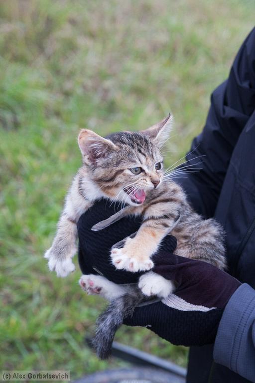 �������!!