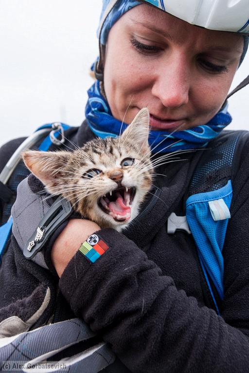 ������� ��������!