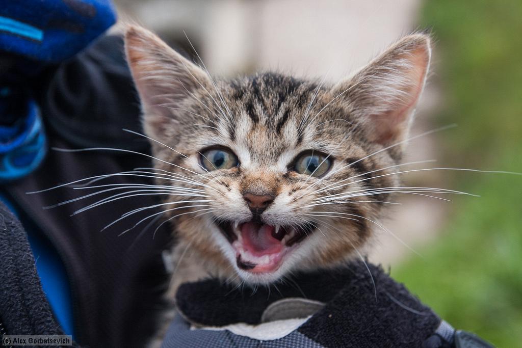 ������� �� ������!