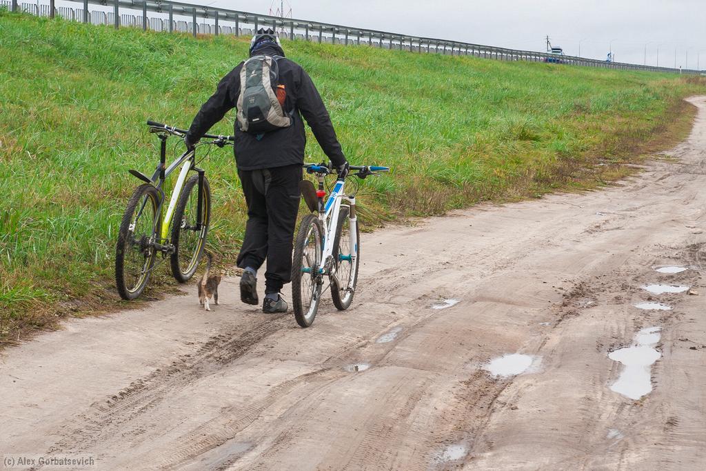 �� �����