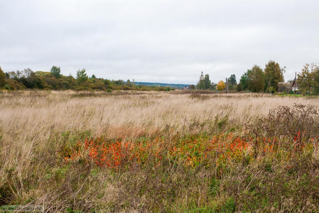 ������� ��������