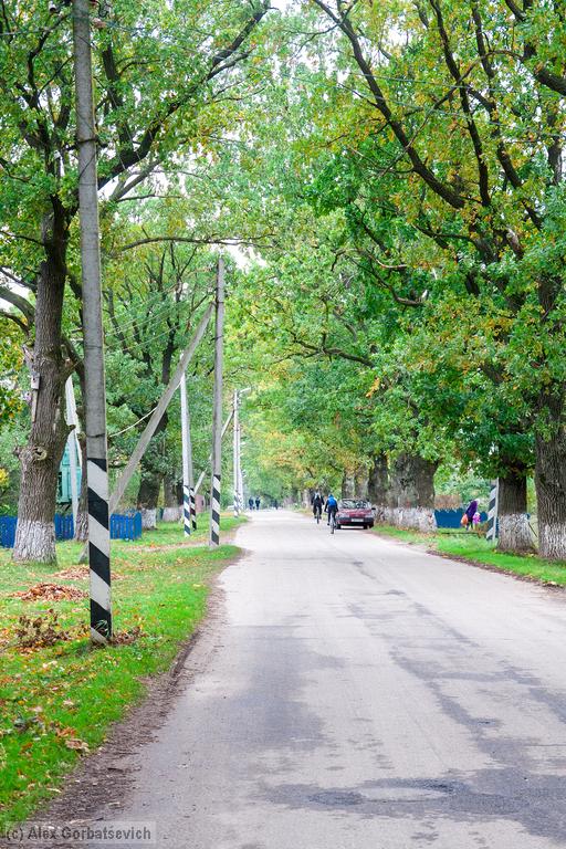 �� ������� �����