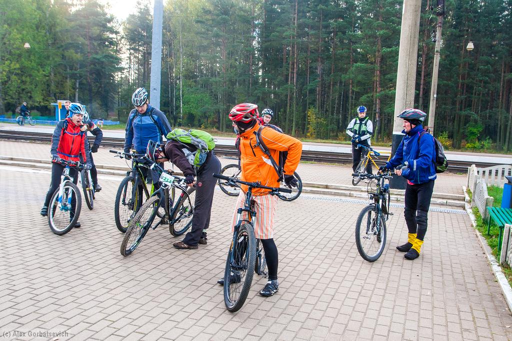 ����� �������