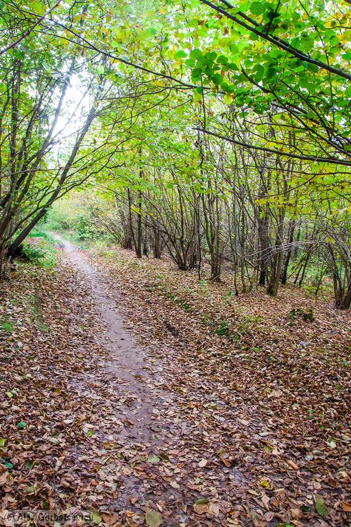 ������� ���