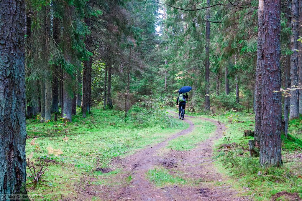 ���� ������� ��� �� ��