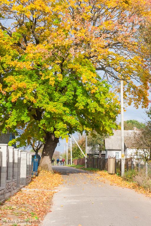 � �������