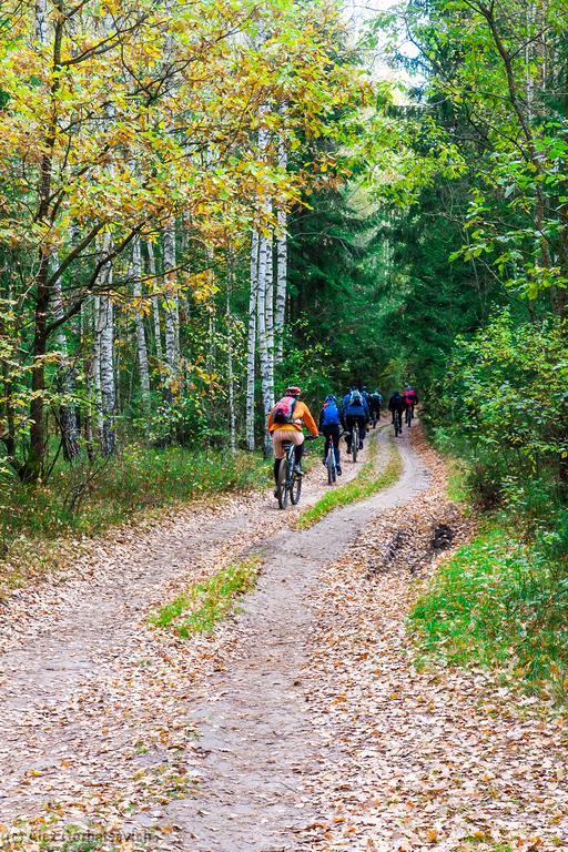 ������� �������