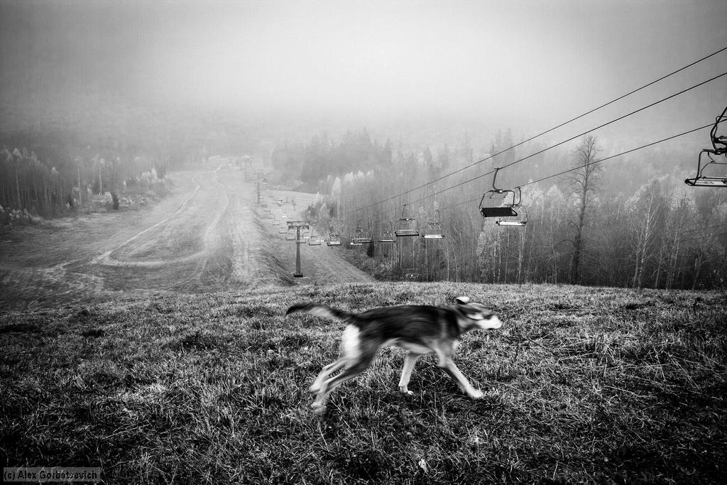 ����� ����