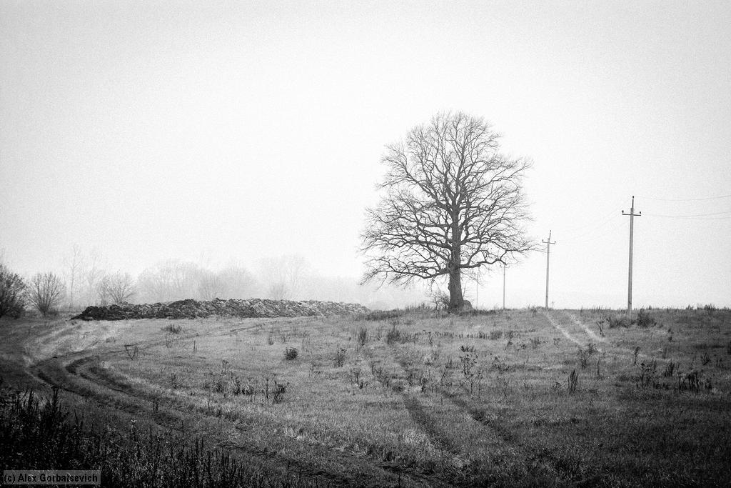 ������ � �������� �����