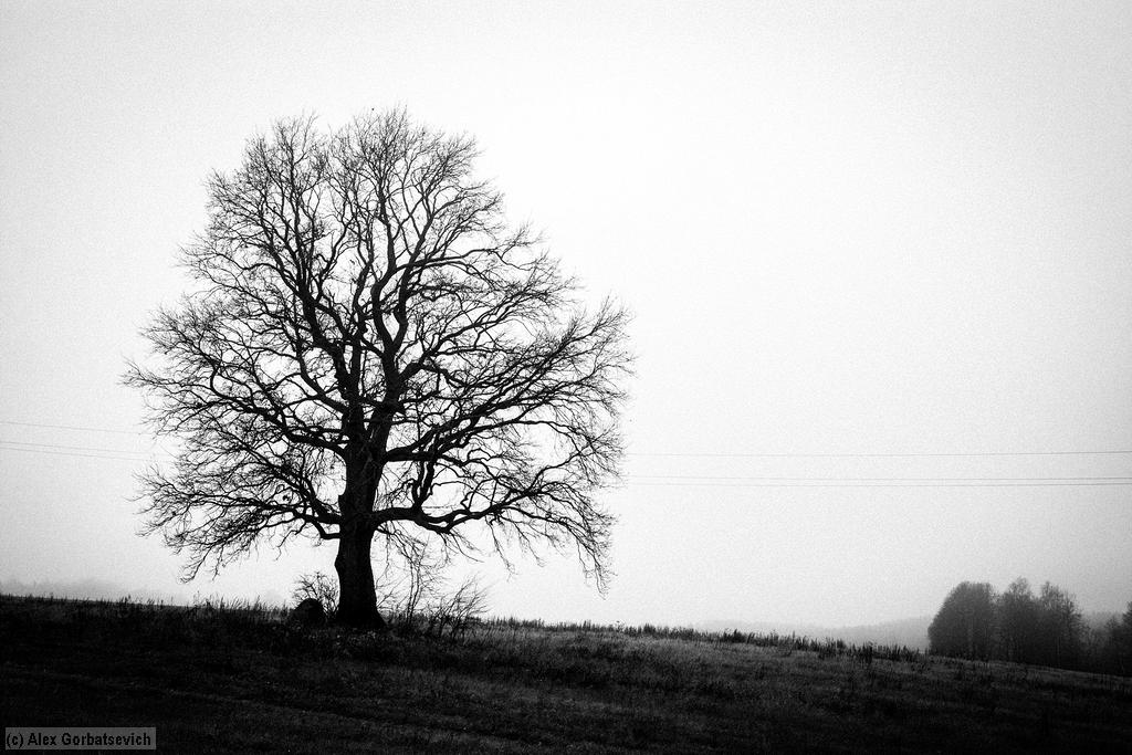 �������� ������