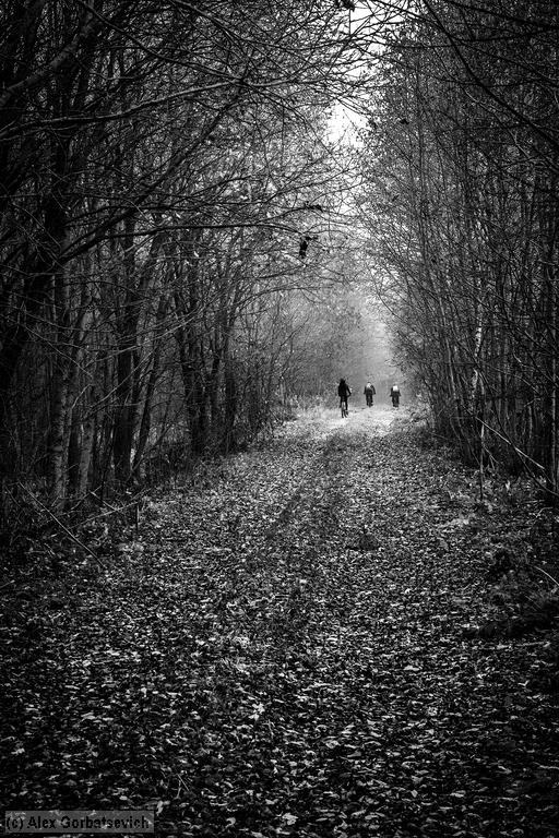 �� ������ ����� ���