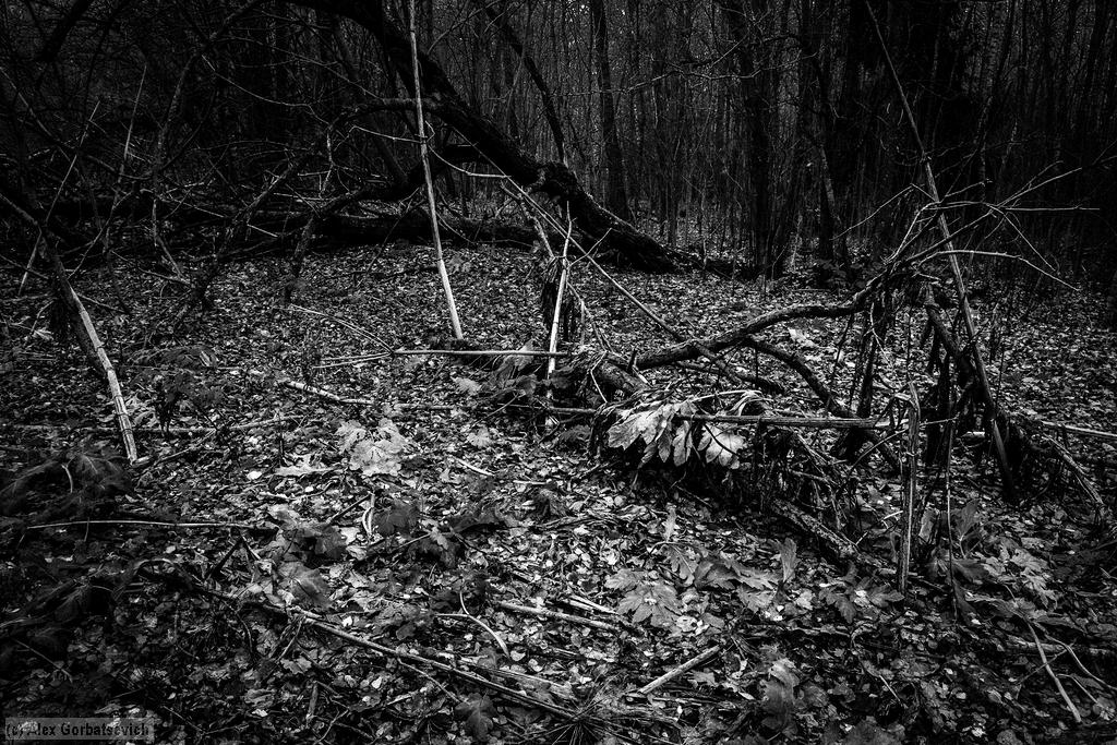 � ������� ����