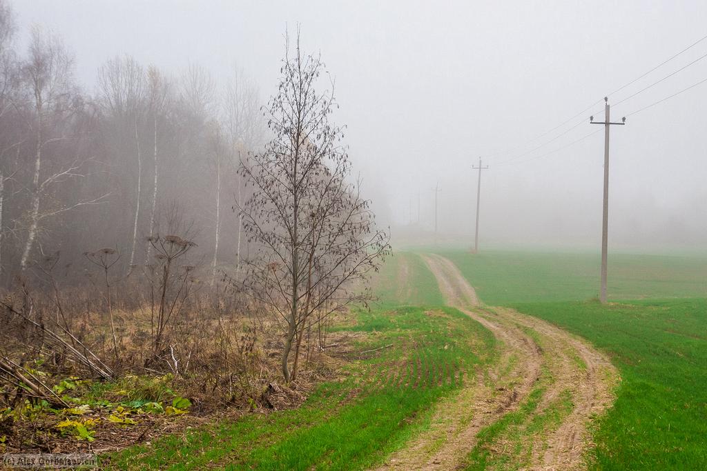 ������� �����