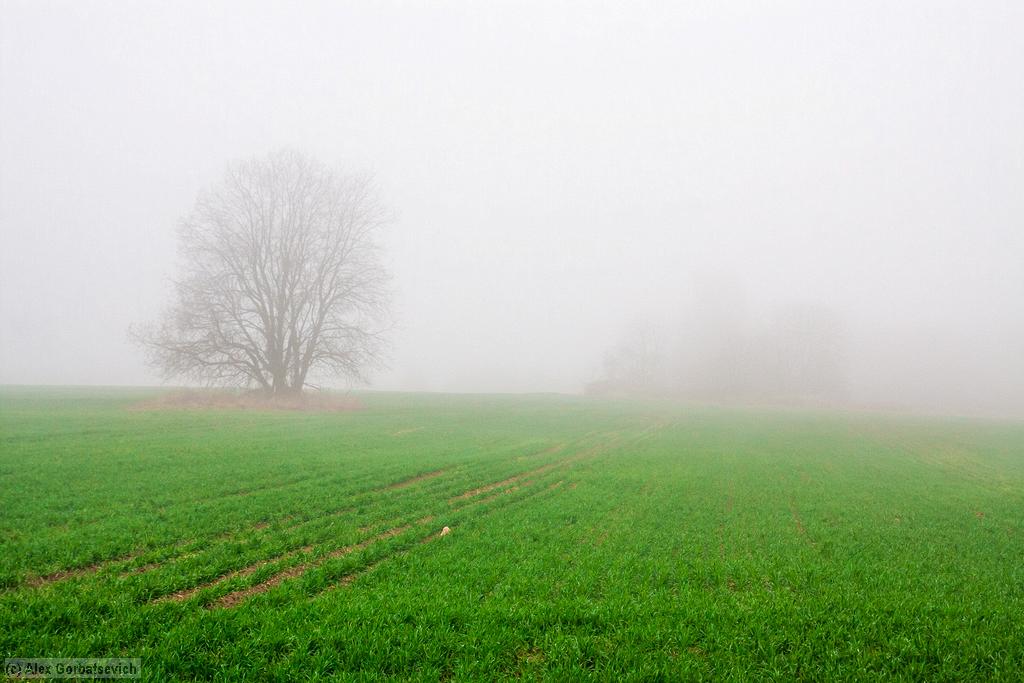 ���������  ������