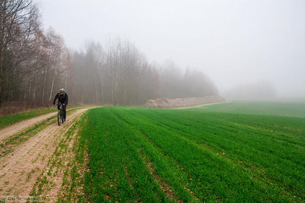 ����� �����