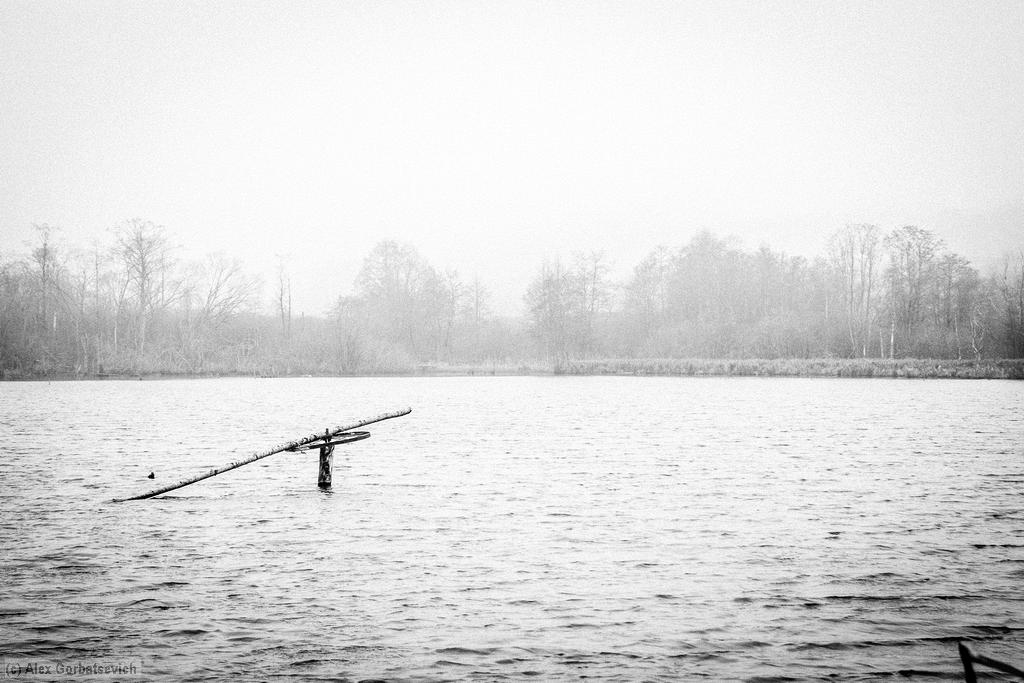 ������ �����