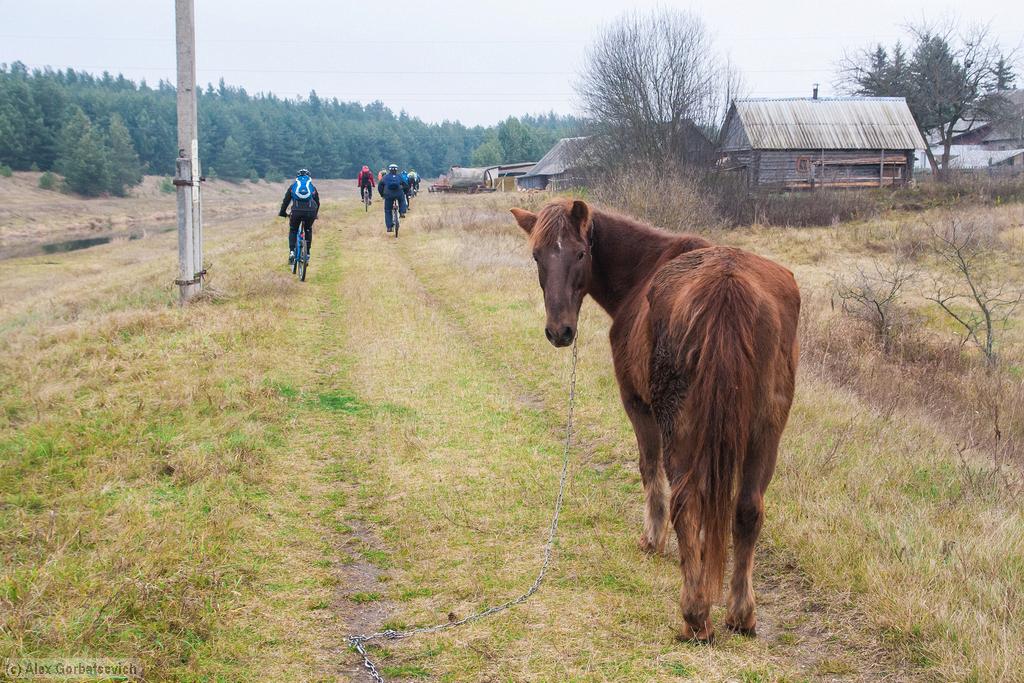 � ��� �� �?