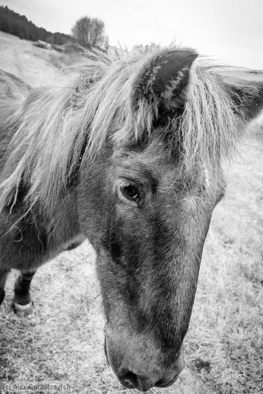 �������