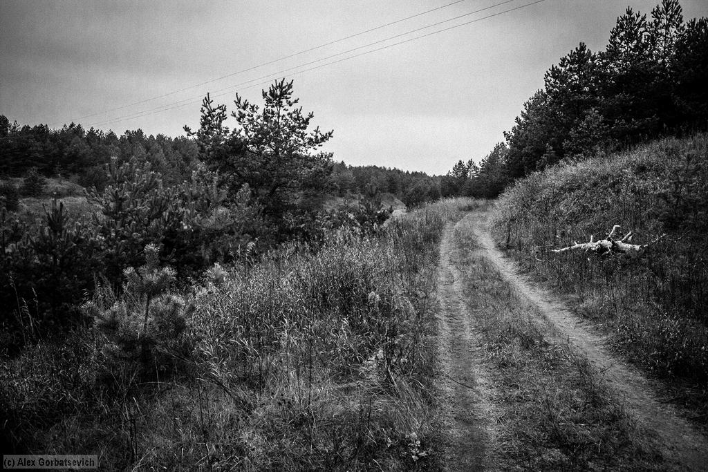 ������� ����� ������