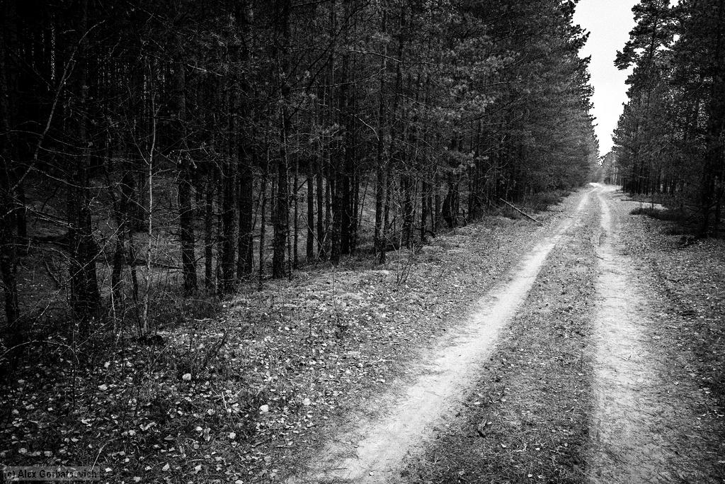 ����� ������