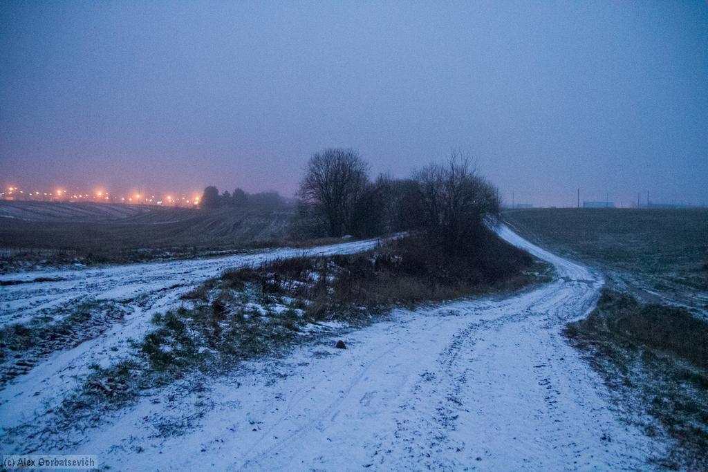 ���� ������