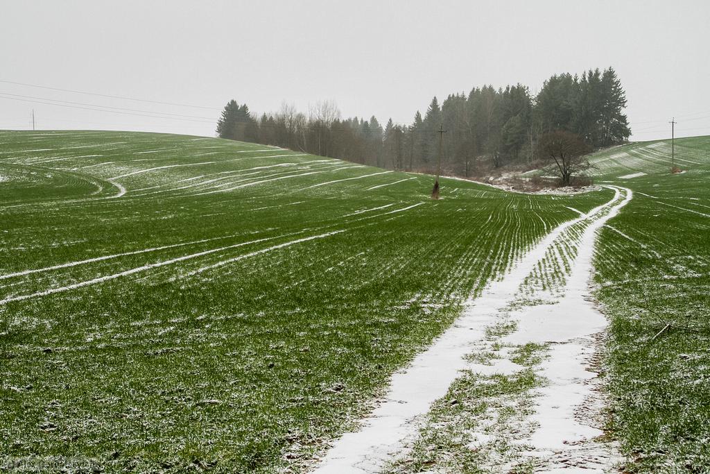 ����� �� ����� ���������