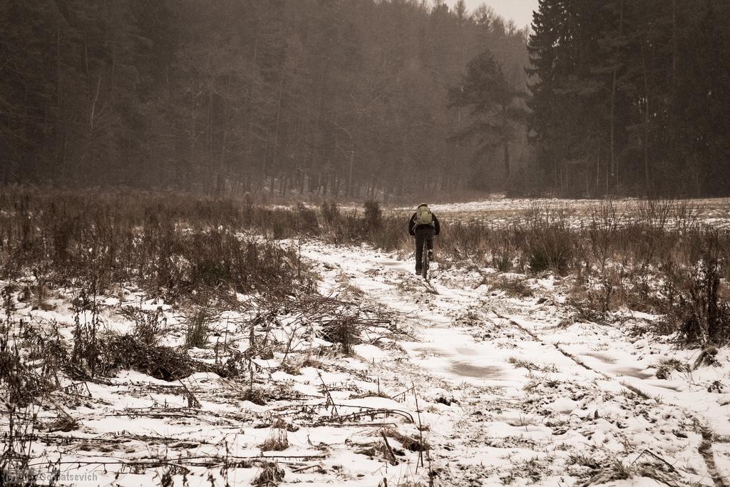 �� ��������� ������