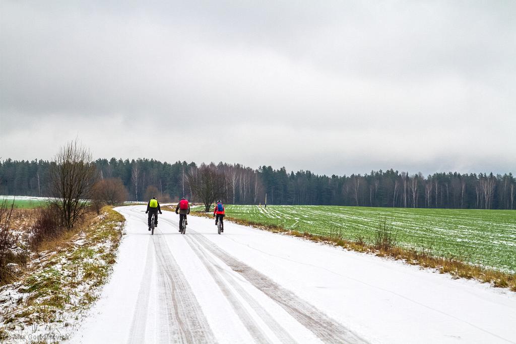 ����� ����