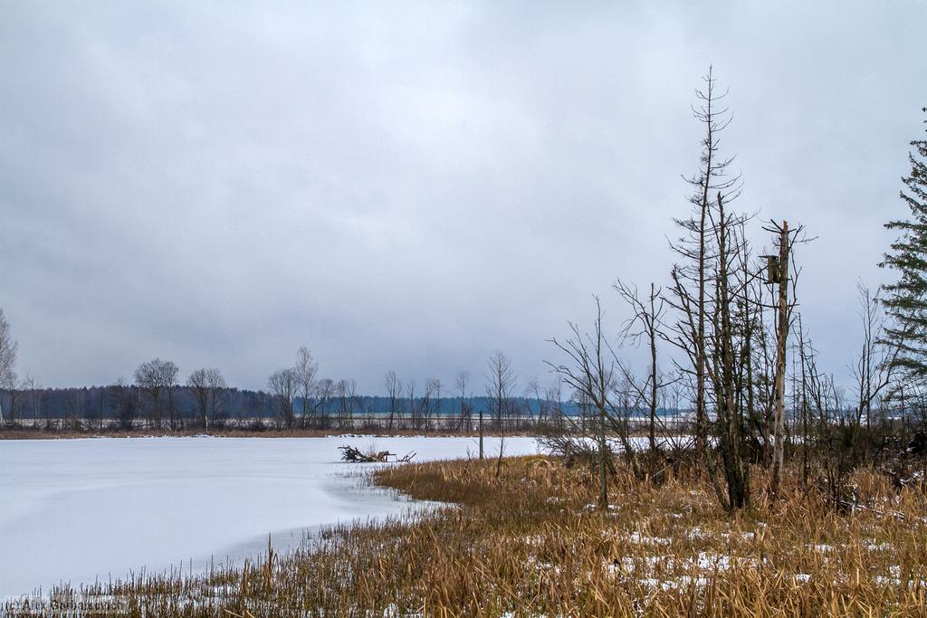 �� ������