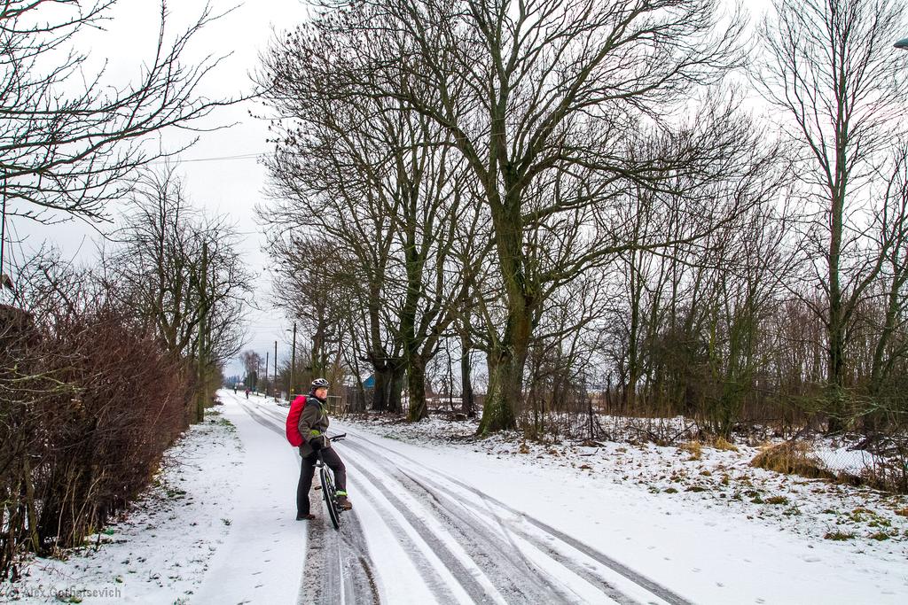 � �������