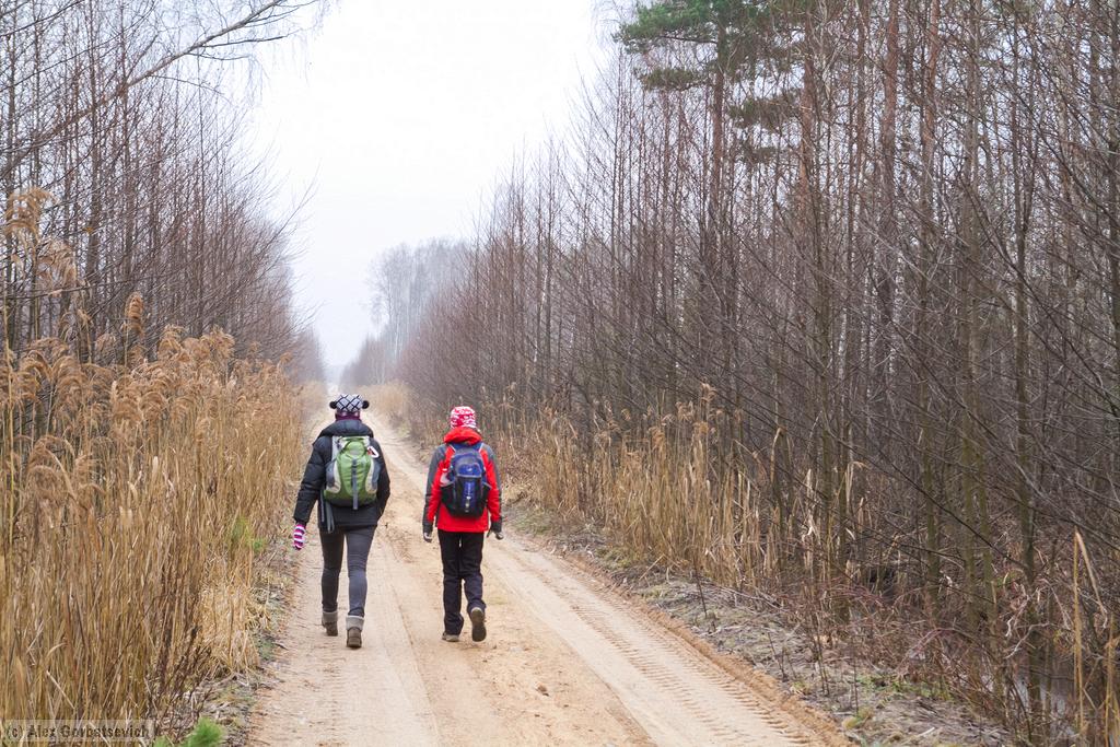 �� ������