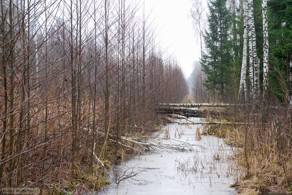 ����� �����������