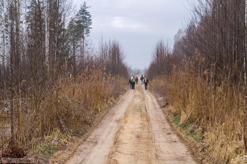 �� ������