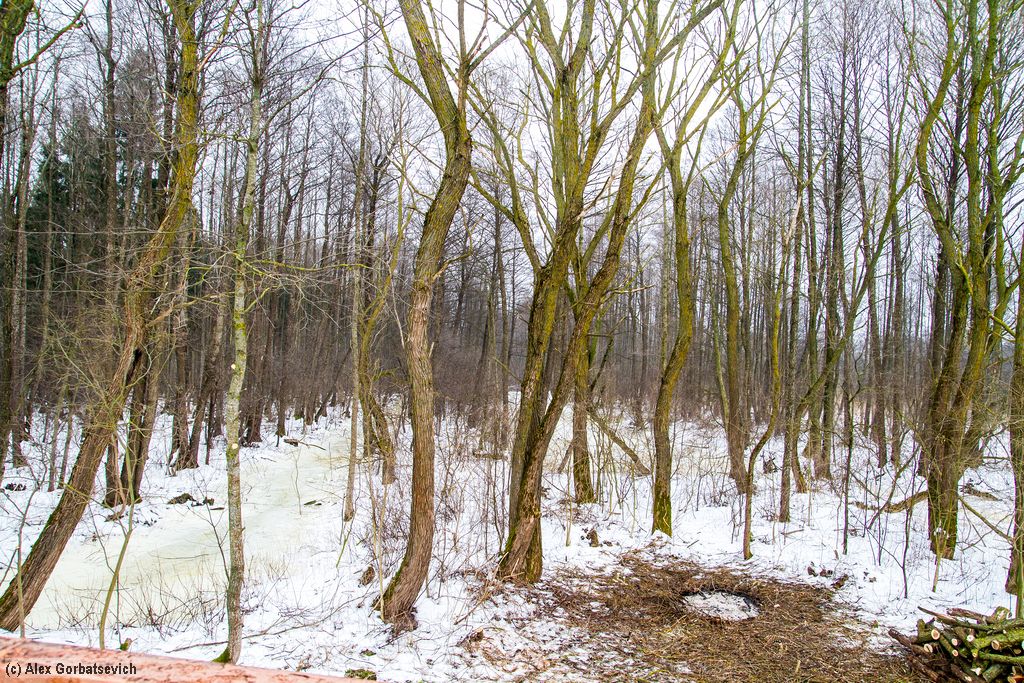 �� ������