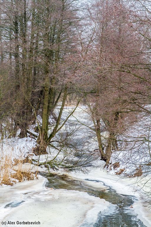 �. ��������