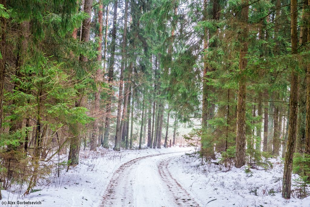 ������ �������