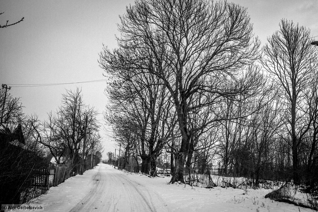 � �������