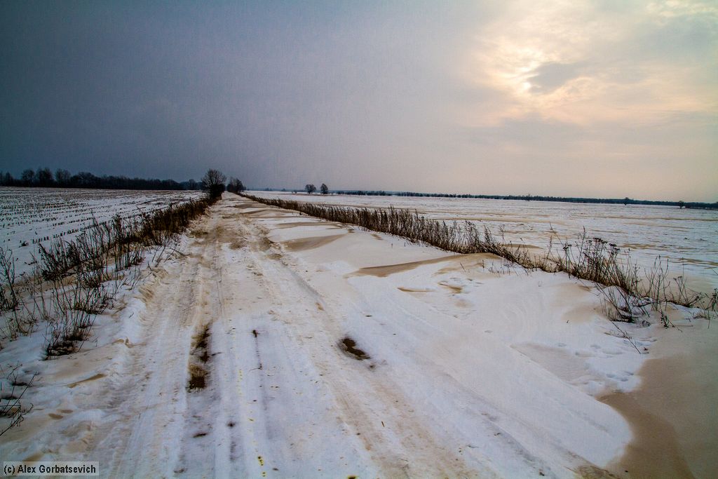 ��� �������