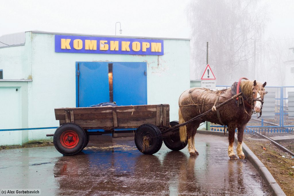 ��� ��� �������