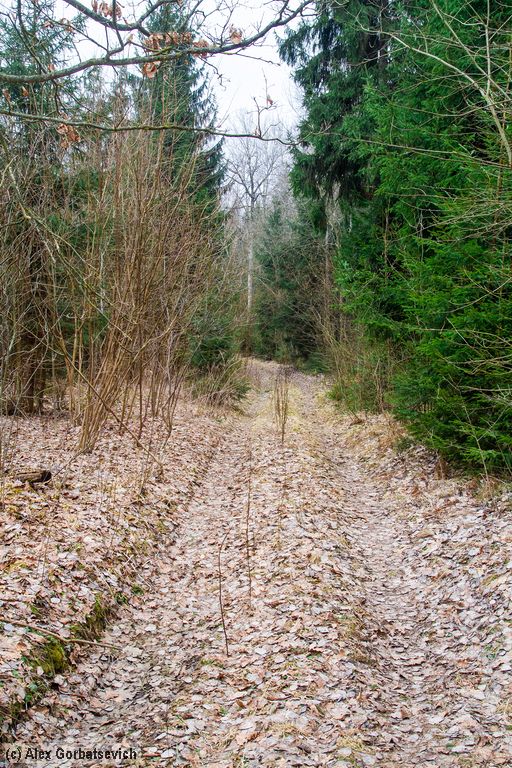 ������ �������