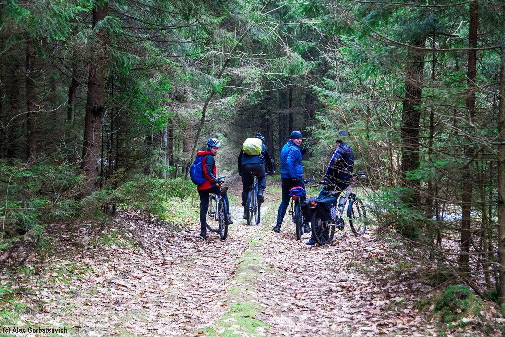 ������ ����