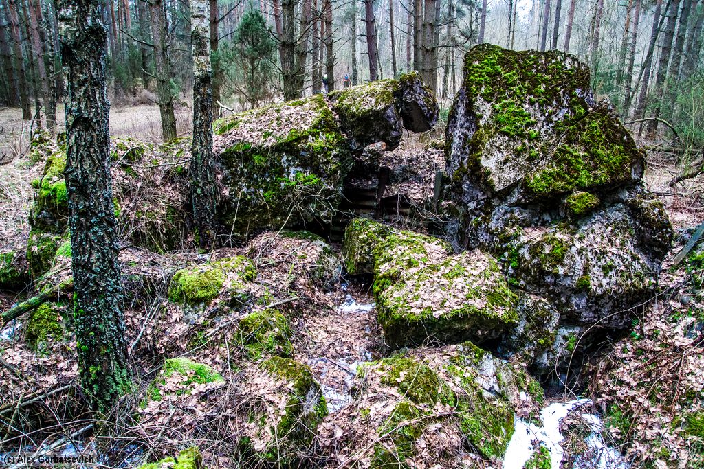 ���� �������