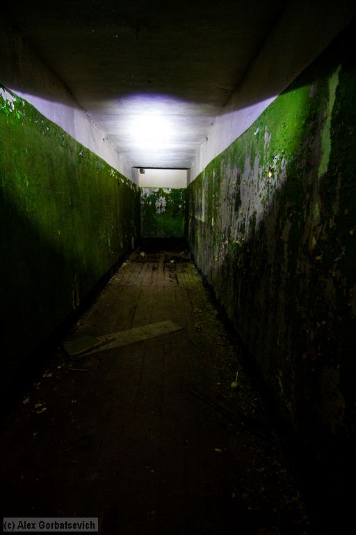 � �������