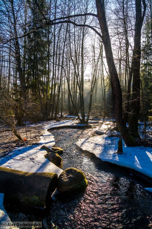 ������� �����