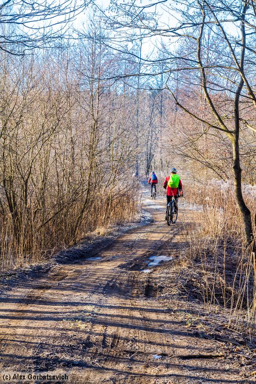 ����������