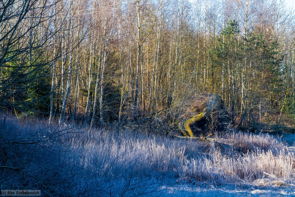 ������ ���������