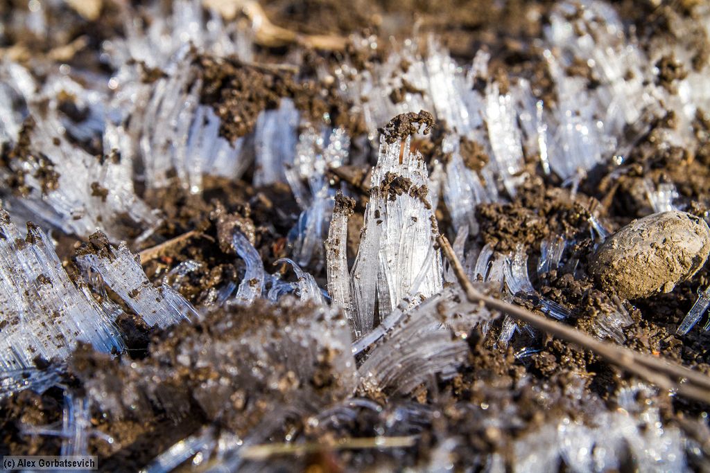 ������� ���