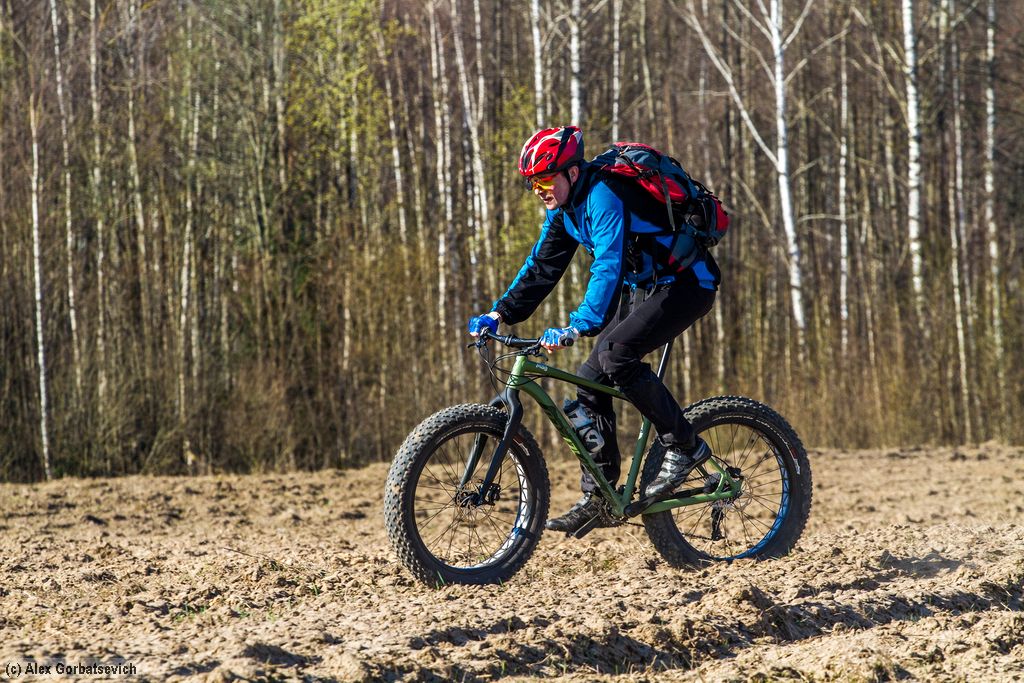 ������ ����� ��������